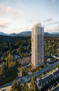 ironwood project presale