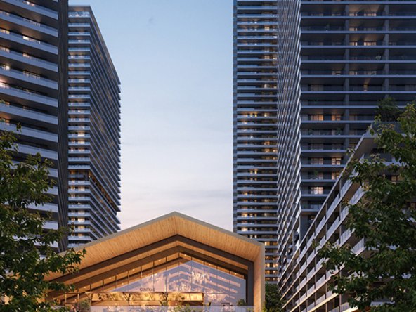 Primary photo - text driven desktop